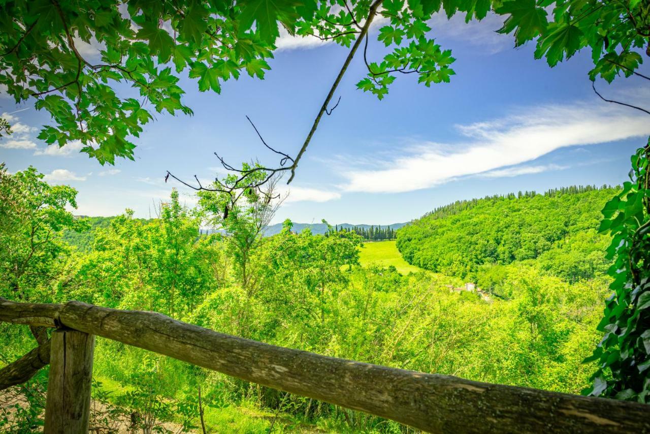 Casa Al Bosco Country house Sant'Ellero