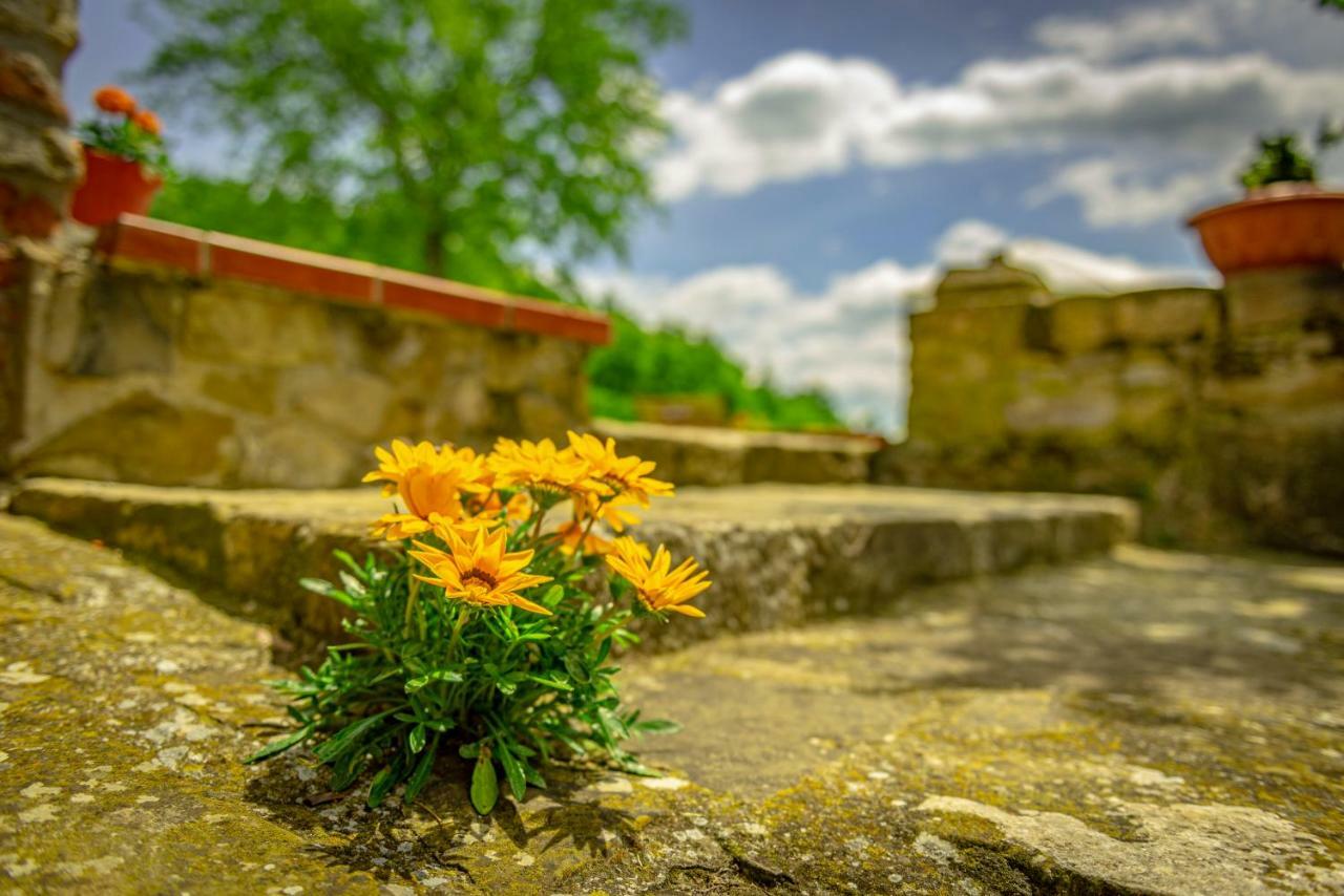 Casa Al Bosco Country house